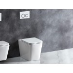 Enox Rimless Floor-mount Toilet Pan Only